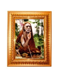 Chandrashekharendra Saraswati Golden Designer Photo Frame | 10x14 Inch Religious Wall Hanging Frame For Home & Office Decoration | Hindu Deity Chandrashekharendra Saraswati Spiritual Gift Item