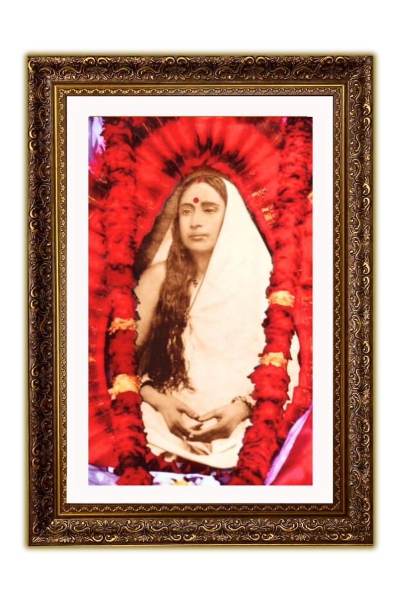 Vertical16X24 Inches Frame Big Photo Frame - 20x28 Inches For Home,Temple & Office Decoration (F10909)