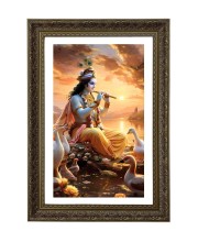 Vertical16X24 Inches Frame Big Photo Frame - 20x28 Inches For Home,Temple & Office Decoration (F10840)