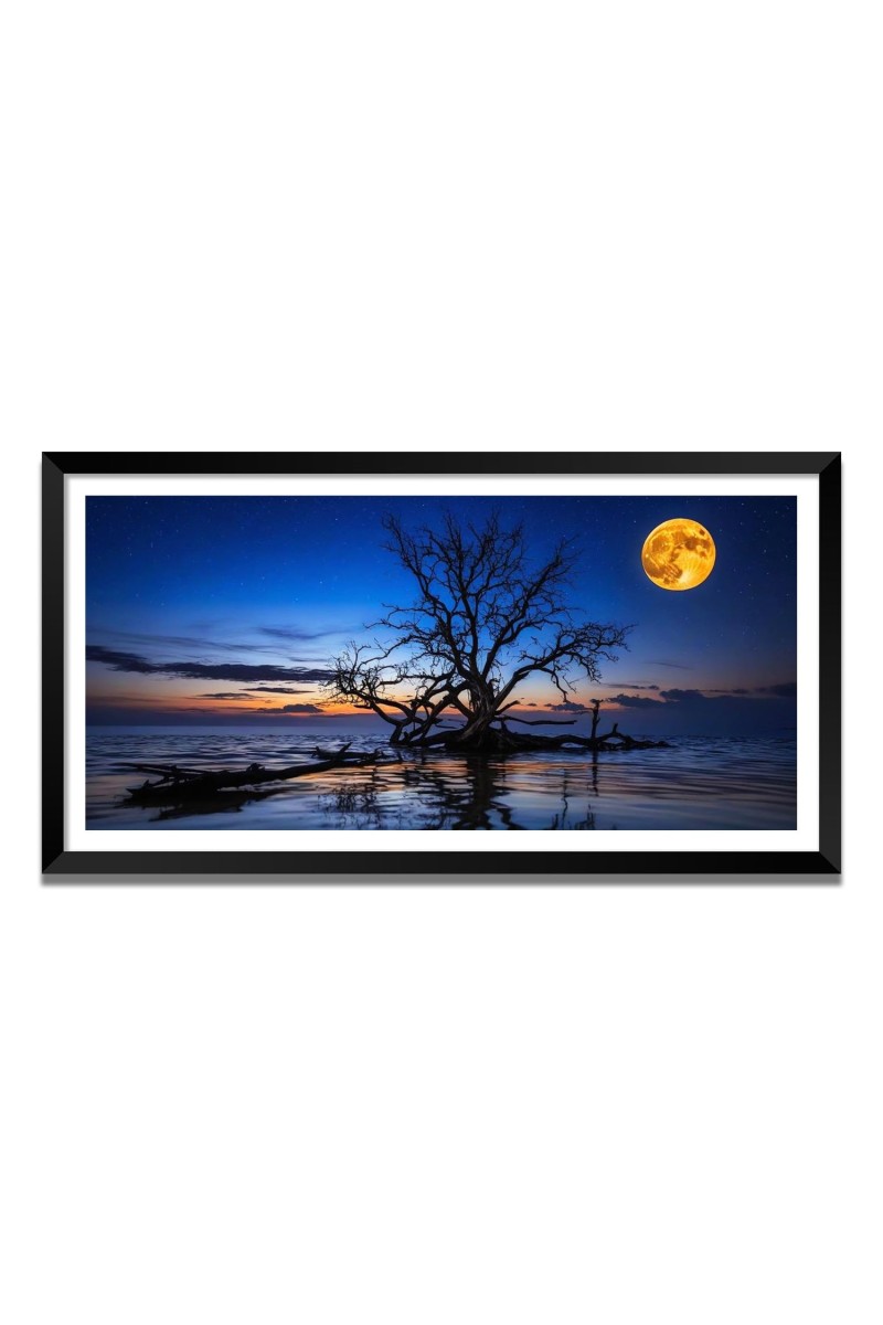 Nature Landscape Floating Frame Scenery Digital Print - (I5572) - 12x24 inch Modern Nature Wall Art for Living Room, Bedroom, Office, Hotels, Drawing Room
