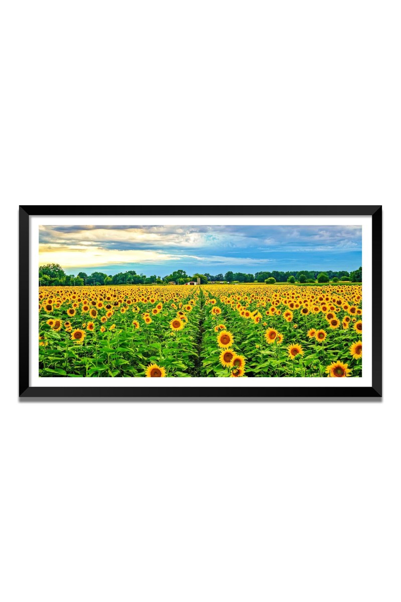 Nature Landscape Floating Frame Scenery Digital Print - (I5803) - 12x24 inch Modern Nature Wall Art for Living Room, Bedroom, Office, Hotels, Drawing Room