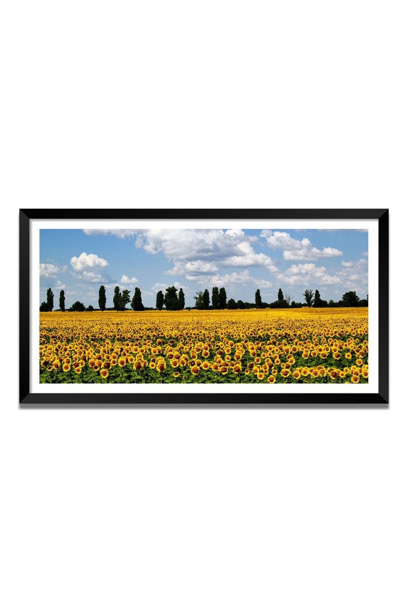 Nature Landscape Floating Frame Scenery Digital Print - (I5569) - 12x24 inch Modern Nature Wall Art for Living Room, Bedroom, Office, Hotels, Drawing Room