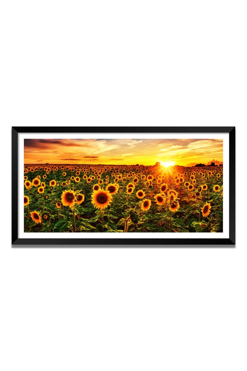 Nature Landscape Floating Frame Scenery Digital Print - (I5598) - 12x24 inch Modern Nature Wall Art for Living Room, Bedroom, Office, Hotels, Drawing Room