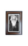 Hi Tech Sales Rabindra Nath Tagore Polystyrene Photo Frame for Wall Decor Home, Office, and Temple - Printed Photo, Pack of 1