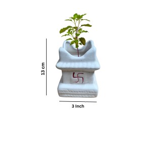 HI TECH Sales Sacred Tulsi Plant in White Ceramic Tulsi Vrindavan Pot with Swastik Symbol – Ideal for Home Mandir, Pooja Decor & Gifting HI TECH Sales Sacred Tulsi Plant in White Ceramic Tulsi Vrindavan Pot with Swastik Symbol – Ideal for Home Mandir, Pooja Decor & Gifting