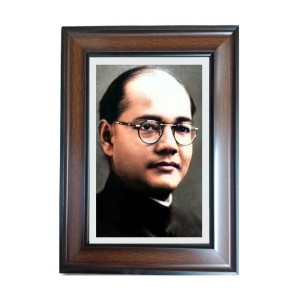 Hi Tech Sales Netaji Subhas Chandra Bose Polystyrene Photo Frame for Wall Decor Home, Office, and Temple - Printed Photo, Pack of 1