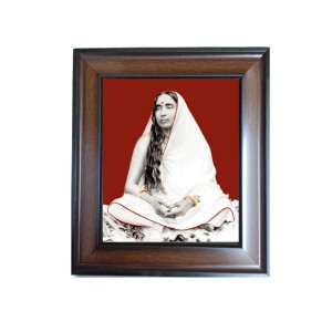 Hi Tech Sales Maa Sarada Devi Polystyrene Photo Frame for Wall Decor Home, Office, and Temple - Printed Photo, Pack of 1 Hi Tech Sales Maa Sarada Devi Polystyrene Photo Frame for Wall Decor Home, Office, and Temple - Printed Photo, Pack of 1