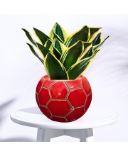 Red Ceramic Flower Pot for Indoor Plants | Handcrafted Decorative Plant Pot for Home, Office & Table Decor (only Pot)