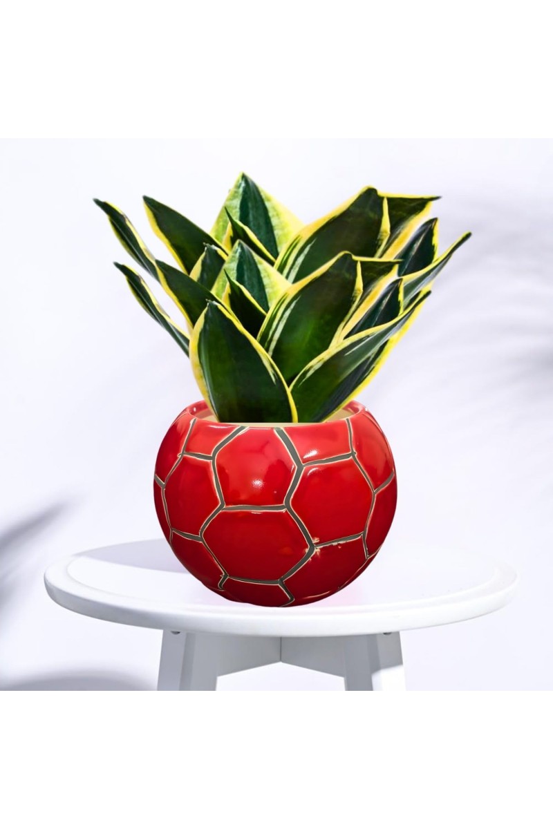 Red Ceramic Flower Pot for Indoor Plants | Handcrafted Decorative Plant Pot for Home, Office & Table Decor (only Pot)