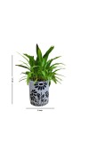 HI TECH Sales Indoor Decorative Potted Green Plant with Hand-Painted Black Floral Ceramic Pot – Ideal for Home,Gardening,Office, and Gifting