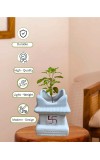 HI TECH Sales Sacred Tulsi Plant in White Ceramic Tulsi Vrindavan Pot with Swastik Symbol – Ideal for Home Mandir, Pooja Decor & Gifting