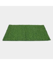 Home Beautiful Anti-Skid Green Polypropylene Door Mat