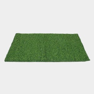 Home Beautiful Anti-Skid Green Polypropylene Door Mat