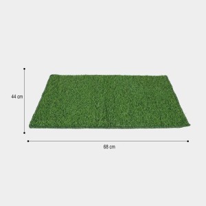 Home Beautiful Anti-Skid Green Polypropylene Door Mat