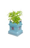 Tulsi Tree Planter Pot Indoor Outdoor Sacred Basil Plant Holder Decorative Eco-Friendly Durable Lightweight