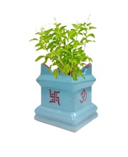 Tulsi Tree Planter Pot Indoor Outdoor Sacred Basil Plant Holder Decorative Eco-Friendly Durable Lightweight