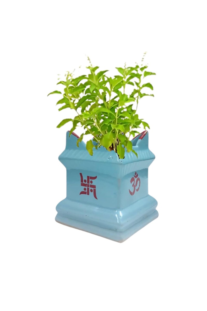 Tulsi Tree Planter Pot Indoor Outdoor Sacred Basil Plant Holder Decorative Eco-Friendly Durable Lightweight