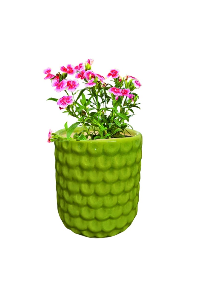 Green Ceramic Plant Pot for Indoor Plants | Decorative Textured Flower Planter for Home, Office & Tabletop Decor (only Pot)