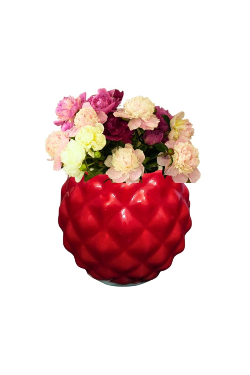 Ceramic Round Diamond Design Planter Pot – Decorative Flower Pot for Indoor Plants, Succulents Office & Home Décor (Only Pot)