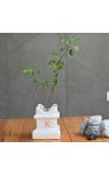 HI TECH Sales Tulsi Ceramic Mandir | Traditional Tulsi Plant Pot with Om & Swastik Symbols | Sacred Hindu Planter for Home & Temple Use(White)