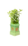 Tulsi Planter Garden Decorative Pot Ghamla for Home Outdoor Indoor Balcony Terrace Decoration. (Green)