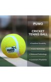 Hitech Sales - Pumo Cricket Tennis Ball | Lightweight Yellow Tennis Ball for Cricket Practice & Play | Durable and High Bounce Ball for Indoor & Outdoor Use (Medium, 1, Count)