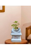 HI TECH Sales Sacred Tulsi Plant in White Ceramic Tulsi Vrindavan Pot with Swastik Symbol – Ideal for Home Mandir, Pooja Decor & Gifting
