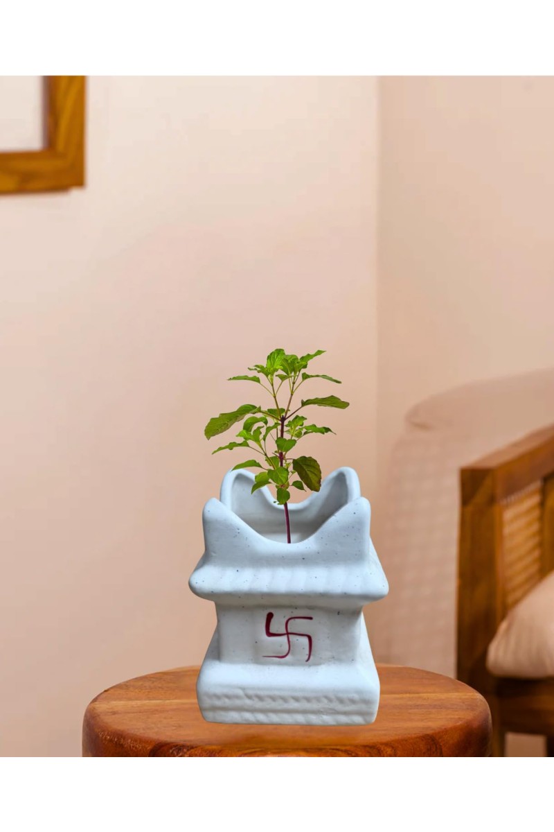 HI TECH Sales Sacred Tulsi Plant in White Ceramic Tulsi Vrindavan Pot with Swastik Symbol – Ideal for Home Mandir, Pooja Decor & Gifting