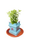 Tulsi Planter Pot with Tray for Home Balcony Indoor Outdoor Garden Decorative Durable Plastic Pot for Holy Basil Plant