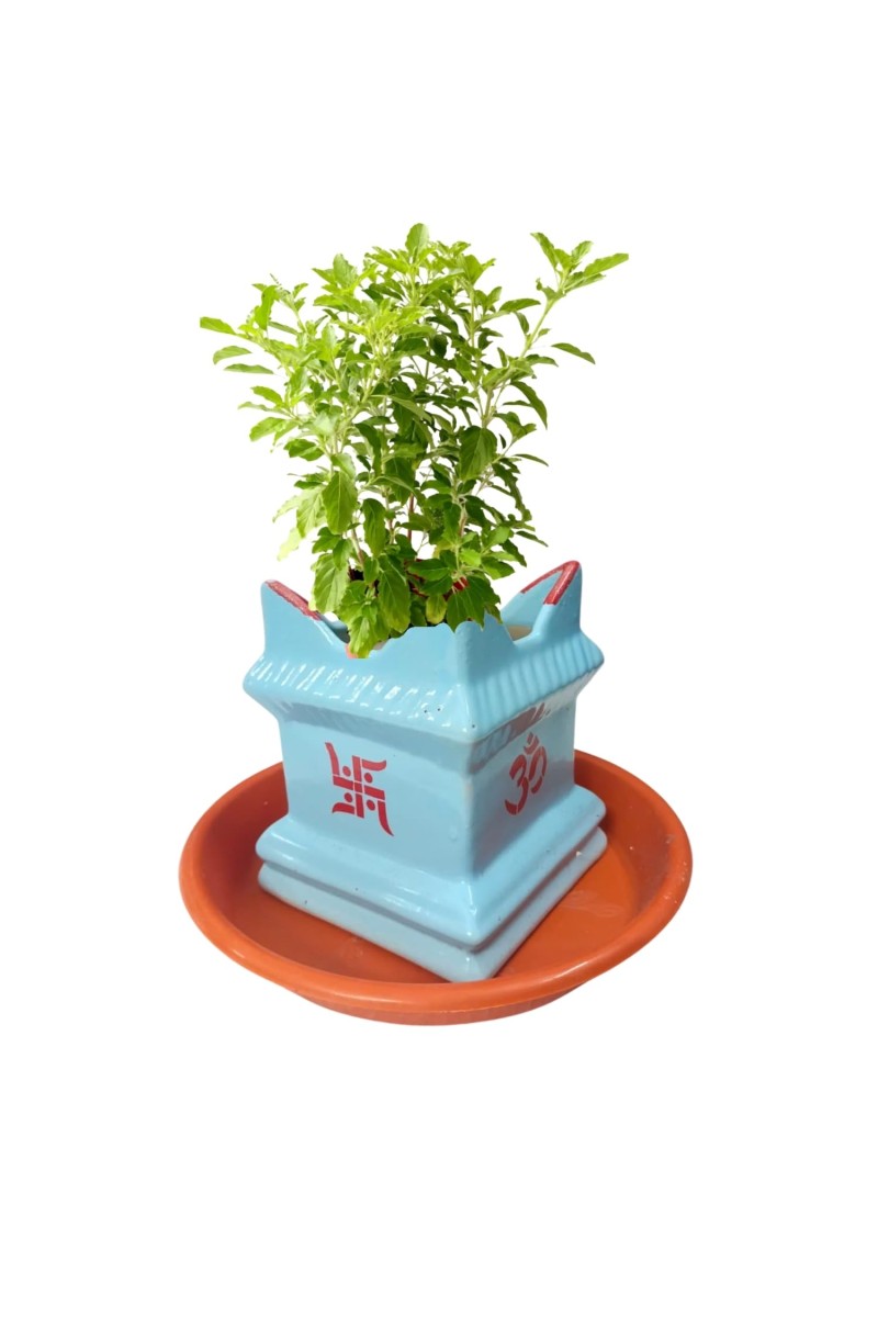 Tulsi Planter Pot with Tray for Home Balcony Indoor Outdoor Garden Decorative Durable Plastic Pot for Holy Basil Plant