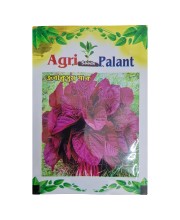 Lal Shak Seeds Red Amaranth Spinach Jabakusum Seeds