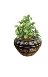 Plant Pot – Modern Ceramic Planter with Drainage Hole & Saucer – Indoor Flower Pot for Houseplants, Succulents, Herbs – Stylish Minimalist Home & Office Décor (Black, Large)