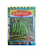 Capsicum Hybrid Seeds Shimla Mirch