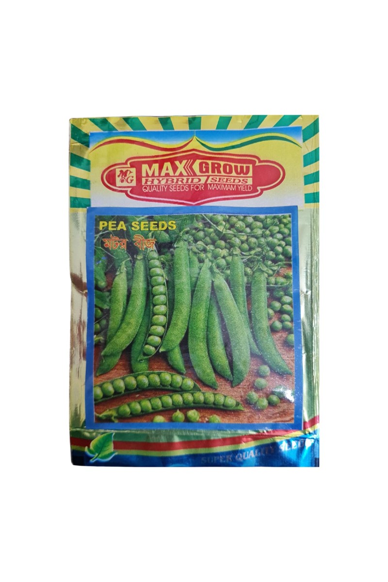 Capsicum Hybrid Seeds Shimla Mirch