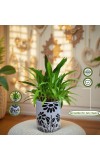 HI TECH Sales Indoor Decorative Potted Green Plant with Hand-Painted Black Floral Ceramic Pot – Ideal for Home,Gardening,Office, and Gifting