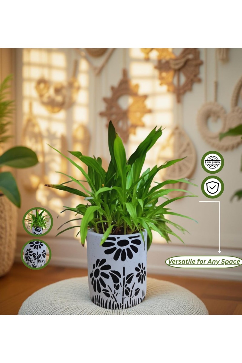 HI TECH Sales Indoor Decorative Potted Green Plant with Hand-Painted Black Floral Ceramic Pot – Ideal for Home,Gardening,Office, and Gifting
