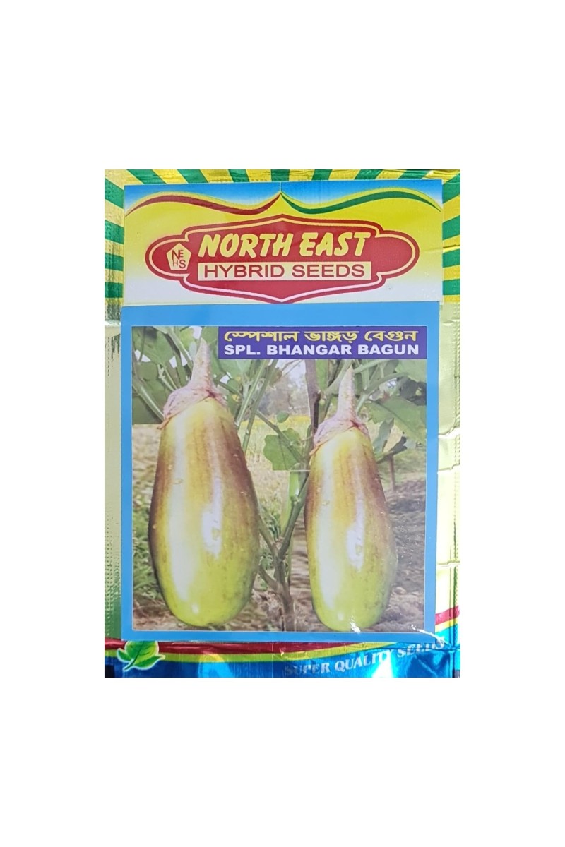Hybrid Seeds Brinjal Bhangar Seeds Desi Brinjal Seeds Special Bhangar Begun Seed Vangar Bengan Seeds