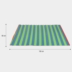 Blue PVC Floor Mat