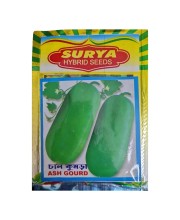 Ash Gourd Hybrid Seeds Chal Kumra