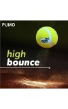 Hitech Sales - Pumo Cricket Tennis Ball | Lightweight Yellow Tennis Ball for Cricket Practice & Play | Durable and High Bounce Ball for Indoor & Outdoor Use (Medium, 1, Count)