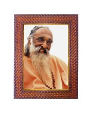 Shri Mataji Nirmala Devi Photo Frame 17X21 Inch Religious Wall & Table Decor Frame | Shri Mataji Nirmala Devi Spiritual Photo Frame For Home, Temple & Office (F18300X17X21)