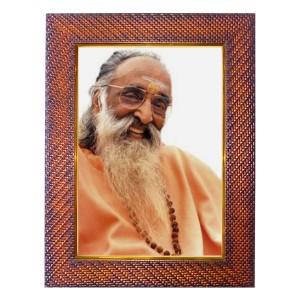 Shri Mataji Nirmala Devi Photo Frame 17X21 Inch Religious Wall & Table Decor Frame | Shri Mataji Nirmala Devi Spiritual Photo Frame For Home, Temple & Office (F18300X17X21)