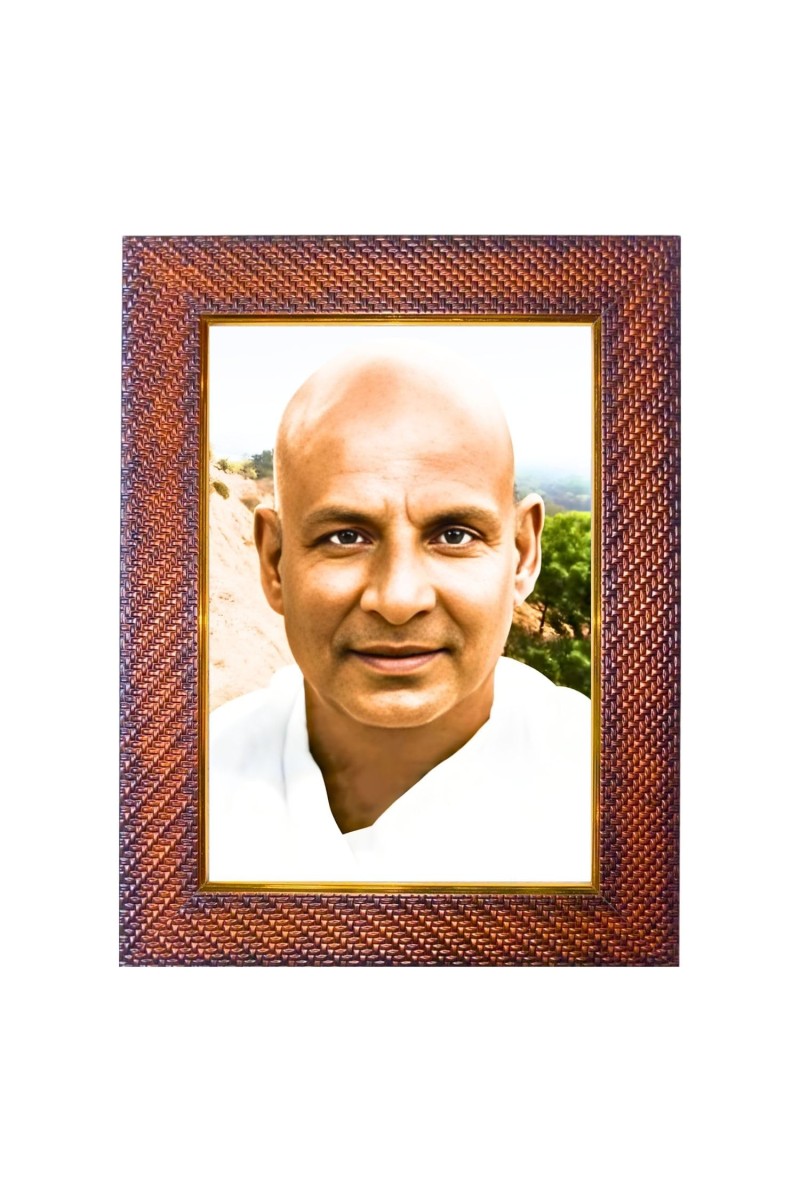 Swami Sivananda Photo Frame 10x14 Inch Religious Wall & Table Decor Frame | Swami Sivananda Spiritual Photo Frame For Home, Temple & Office | Decorative Hindu God & Goddess Frame (Pack Of 1) (F184