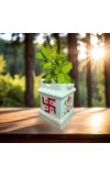 Ceramic Tulsi Pot for Home | Handmade, Vastu-Friendly, Tulsi Planter for Puja Mandir & Balcony