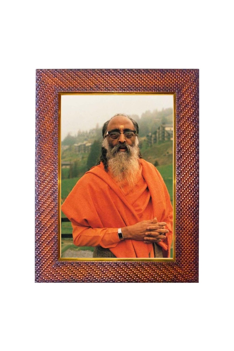 Shri Mataji Nirmala Devi Photo Frame 15X19 Inch Religious Wall & Table Decor Frame | Shri Mataji Nirmala Devi Spiritual Photo Frame For Home, Temple & Office (F18301X15X19)