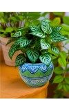 HI TECH Sales Hand-Painted Ceramic Flower Pot Decorative Tabletop Planter for Home & Office | Ethnic Pot Design | Ready-to-Display Indoor Plant Decor