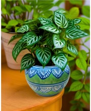 HI TECH Sales Hand-Painted Ceramic Flower Pot Decorative Tabletop Planter for Home & Office | Ethnic Pot Design | Ready-to-Display Indoor Plant Decor