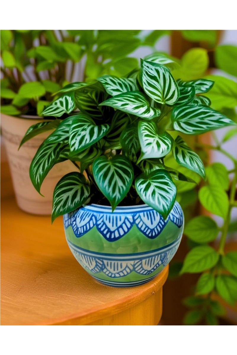 HI TECH Sales Hand-Painted Ceramic Flower Pot Decorative Tabletop Planter for Home & Office | Ethnic Pot Design | Ready-to-Display Indoor Plant Decor