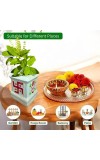 Ceramic Tulsi Pot for Home | Handmade, Vastu-Friendly, Tulsi Planter for Puja Mandir & Balcony