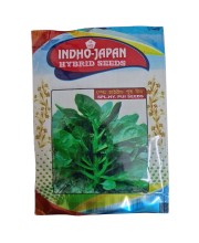 Special Hybrid Malabar Spinach Seeds Pui Seeds